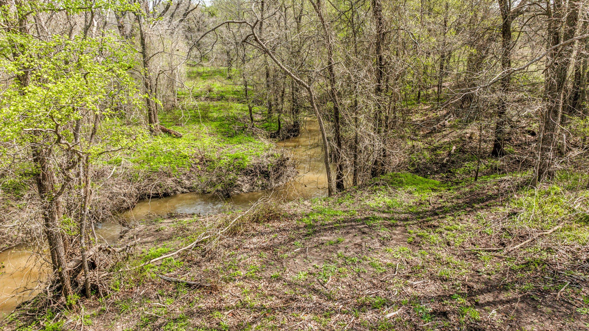 Lot 8 Ranches at Comanche Point , Hico, TX, 76457 | 20829135 | Realty Texas LLC