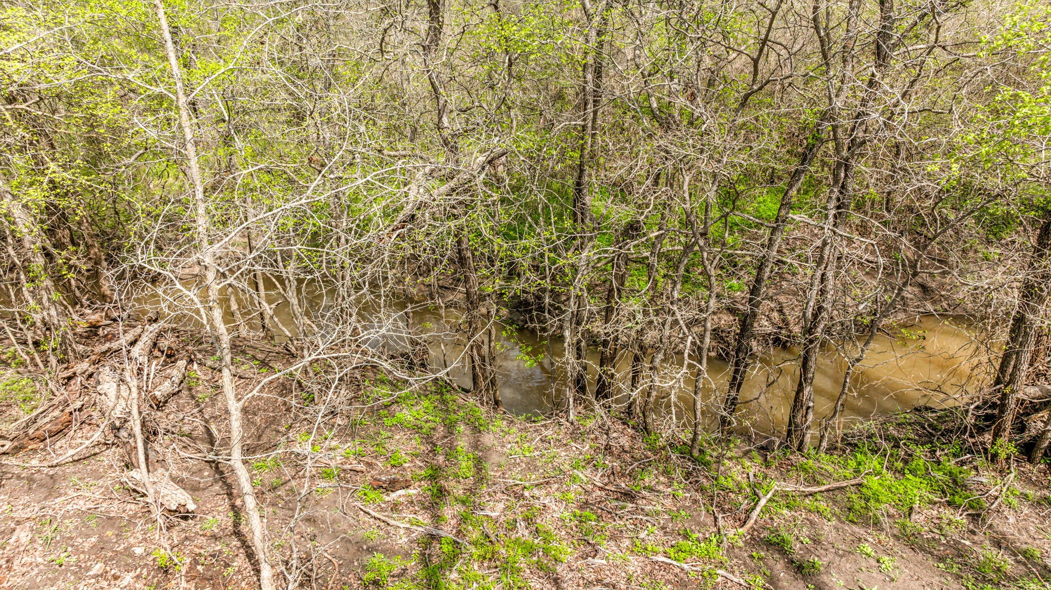 Lot 8 Ranches at Comanche Point , Hico, TX, 76457 | 20829135 | Realty Texas LLC