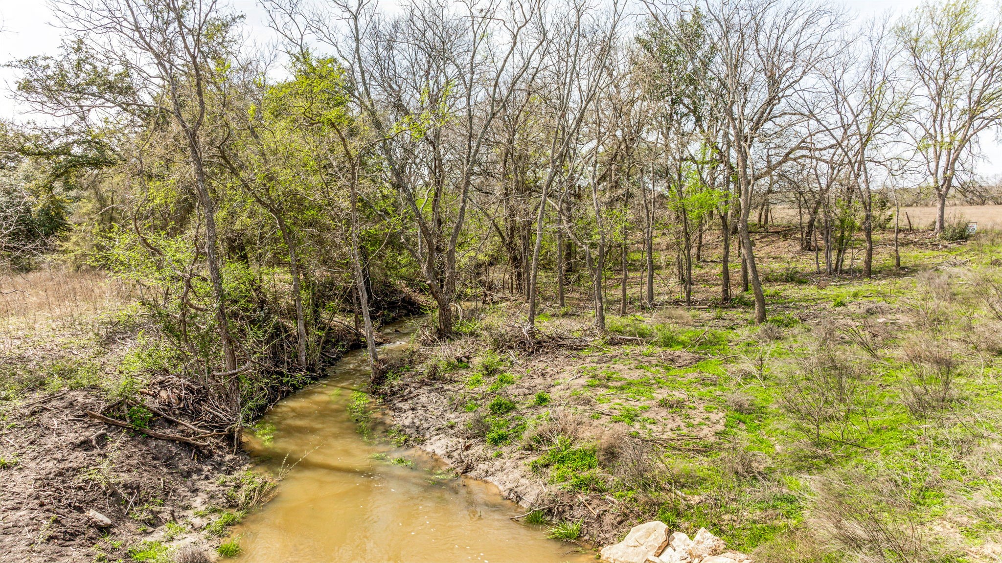 Lot 8 Ranches at Comanche Point , Hico, TX, 76457 | 20829135 | Realty Texas LLC