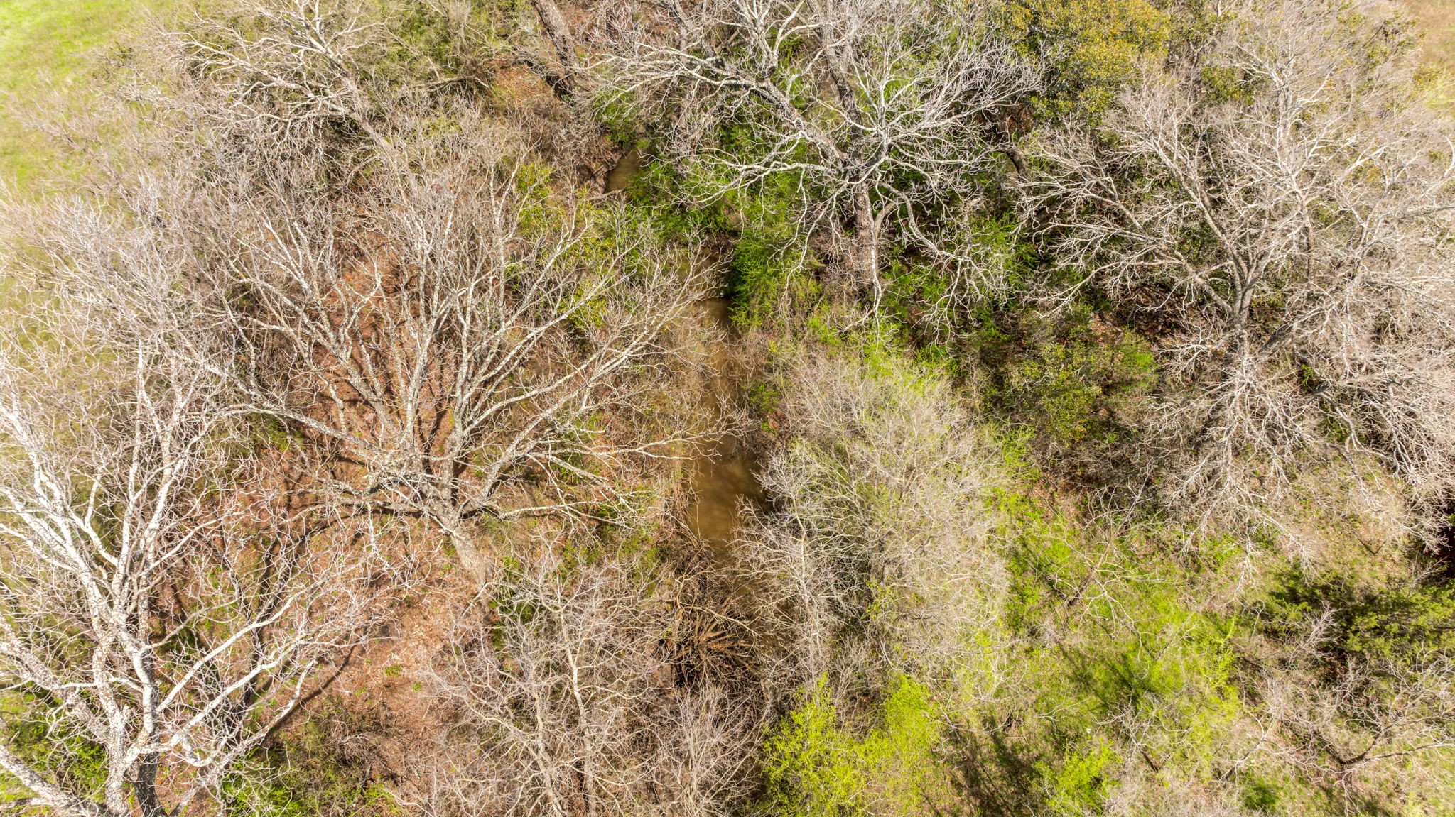 Lot 8 Ranches at Comanche Point , Hico, TX, 76457 | 20829135 | Realty Texas LLC