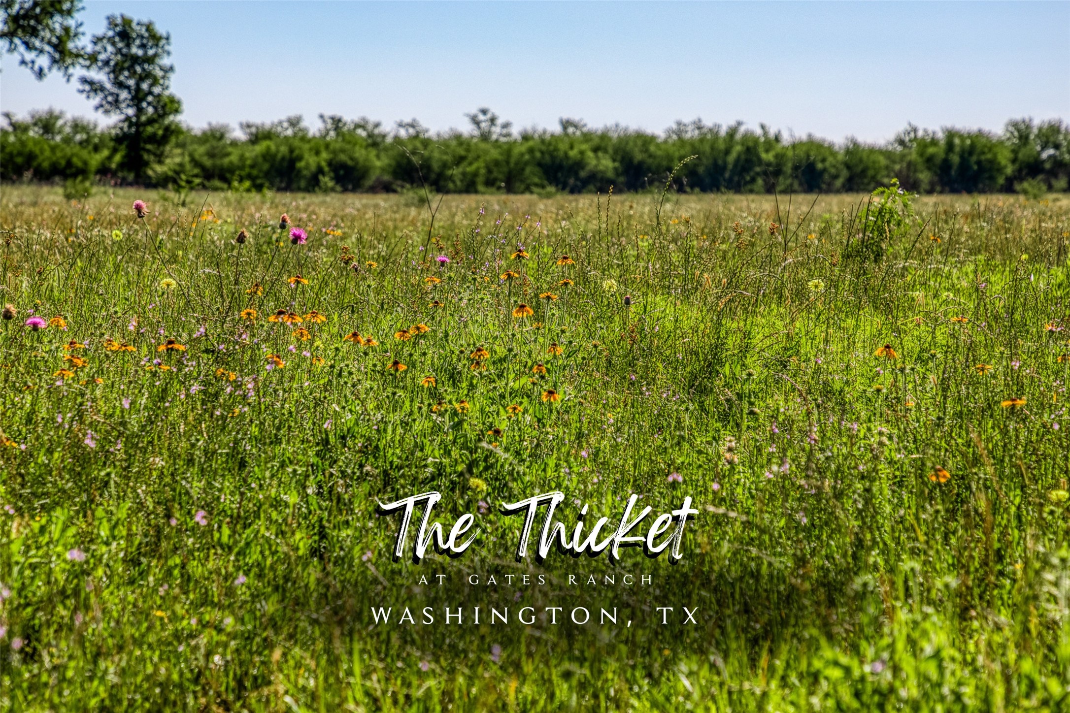 00000 Flat Prairie Road, Washington, TX, 77880 | 52641842 | Realty Texas LLC