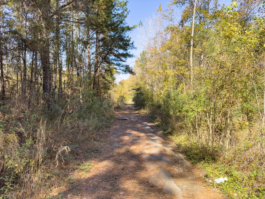 R75043 Kansas Street, Huntington, TX, 75949 | 70350218 | Realty Texas LLC