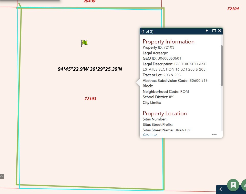 203 & 205 Brantly Drive, Livingston, TX, 77351 | 2332762 | Realty Texas LLC
