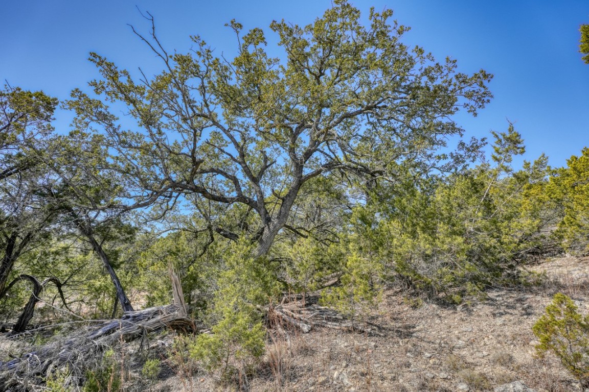 18940 FM 1431 Land, Jonestown, TX, 78645 | 3034858 | Realty Texas LLC