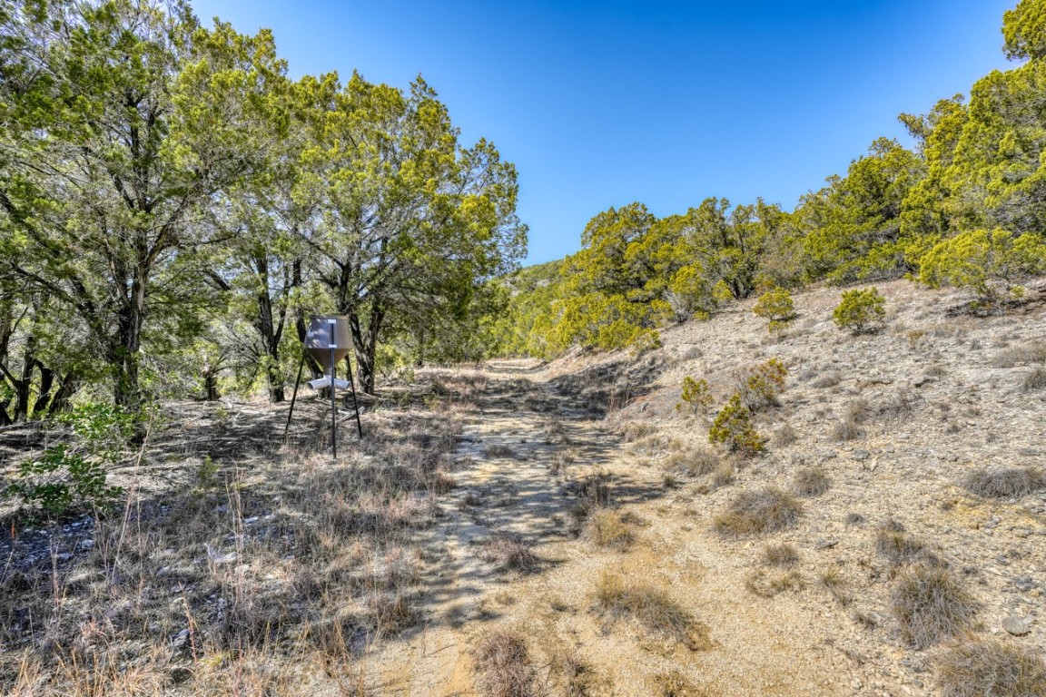 18940 FM 1431 Land, Jonestown, TX, 78645 | 3034858 | Realty Texas LLC