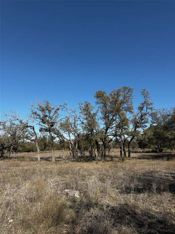 Tract 44 Miller Creek Ranch , Briggs, TX, 78608 | 6918839 | Realty Texas LLC