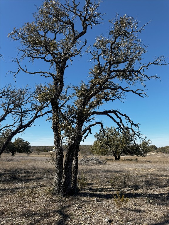 Tract 44 Miller Creek Ranch , Briggs, TX, 78608 | 6918839 | Realty Texas LLC