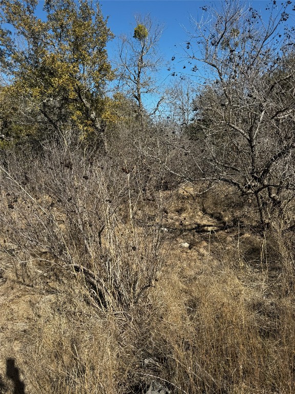 Tract 44 Miller Creek Ranch , Briggs, TX, 78608 | 6918839 | Realty Texas LLC