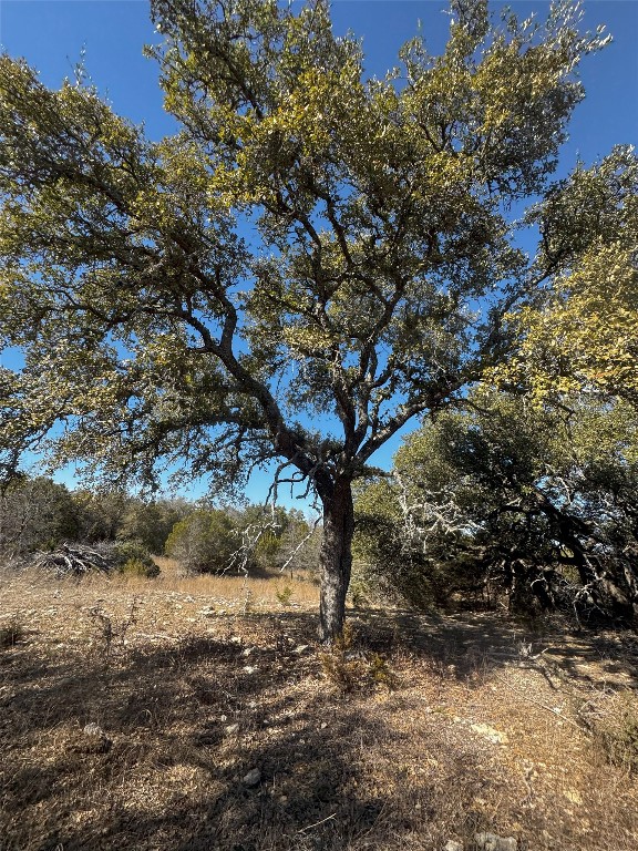 Tract 44 Miller Creek Ranch , Briggs, TX, 78608 | 6918839 | Realty Texas LLC
