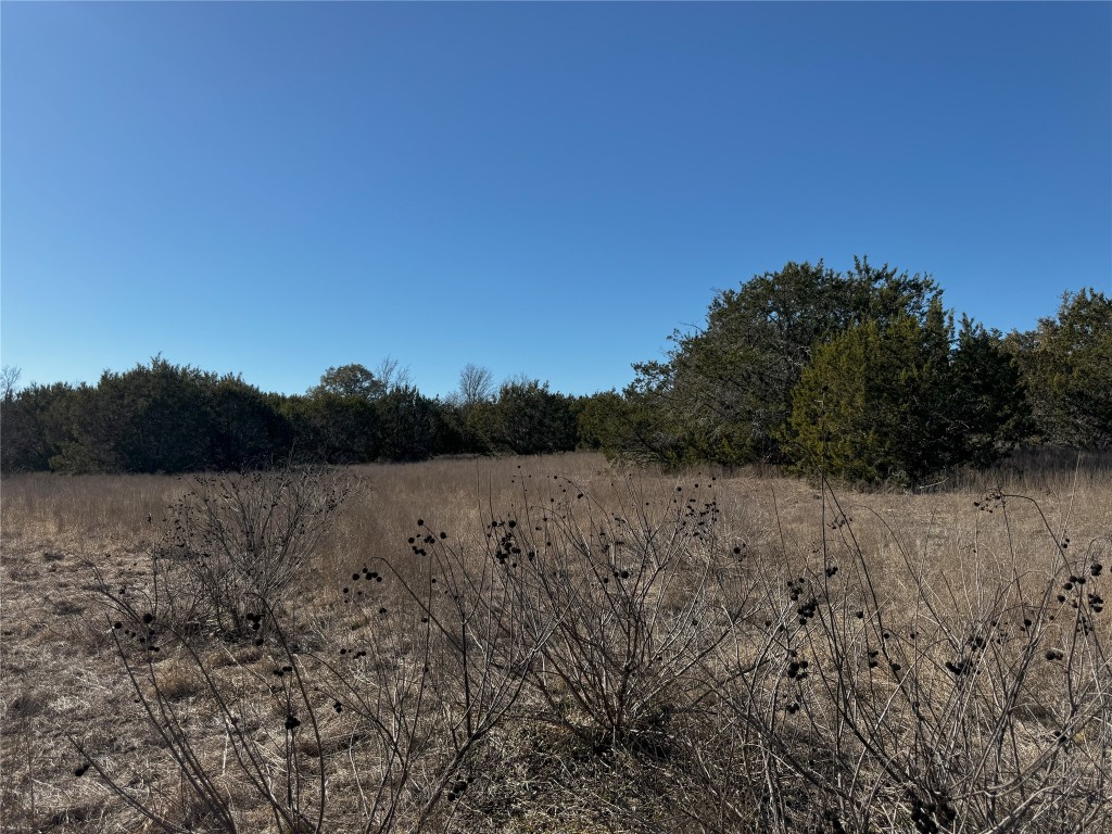 Tract 44 Miller Creek Ranch , Briggs, TX, 78608 | 6918839 | Realty Texas LLC