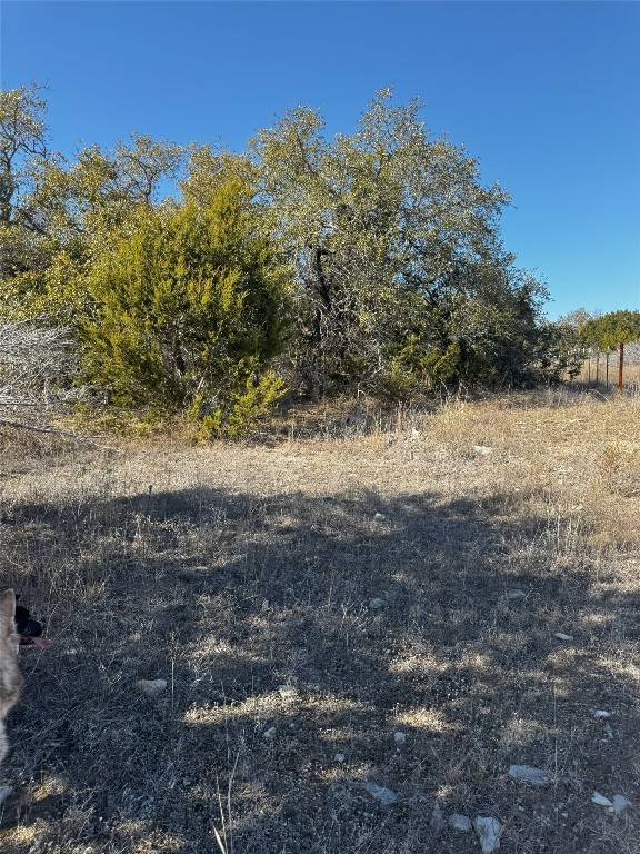Tract 44 Miller Creek Ranch , Briggs, TX, 78608 | 6918839 | Realty Texas LLC