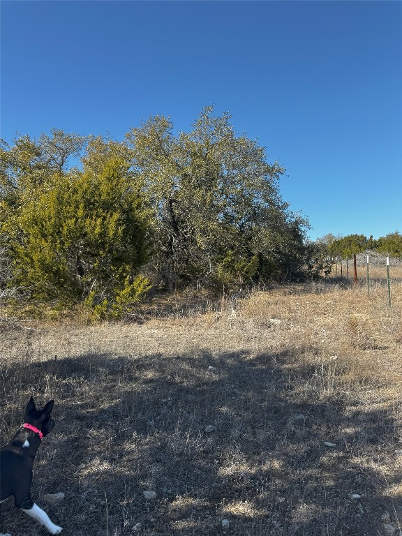 Tract 44 Miller Creek Ranch , Briggs, TX, 78608 | 6918839 | Realty Texas LLC