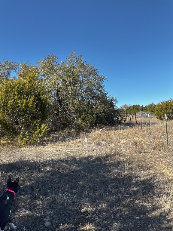 Tract 44 Miller Creek Ranch , Briggs, TX, 78608 | 6918839 | Realty Texas LLC