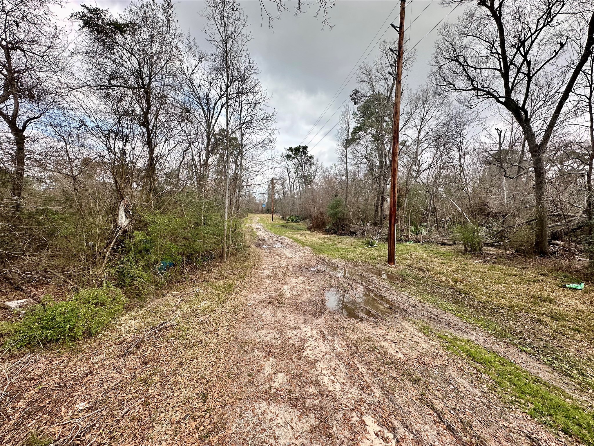 12202 Indian Oaks Lane , Houston, TX, 77044 | 66556113 | Realty Texas LLC