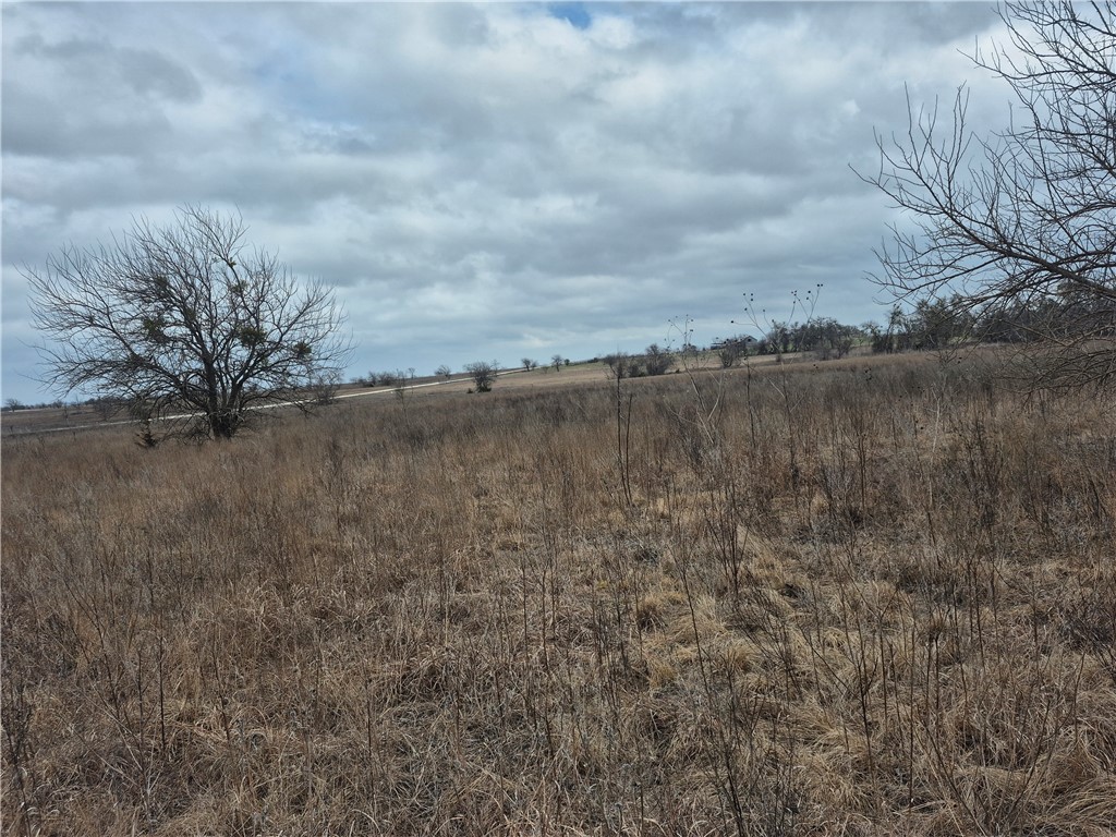 T.B.D PR 4311 , Jonesboro, TX, 76538 | 228067 | Realty Texas LLC