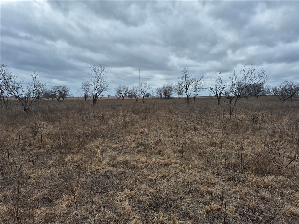 T.B.D PR 4311 , Jonesboro, TX, 76538 | 228067 | Realty Texas LLC
