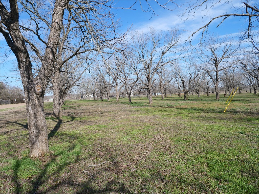 123 LAZY RIVER Lane , Elgin, TX, 78621 | 1272772 | Realty Texas LLC