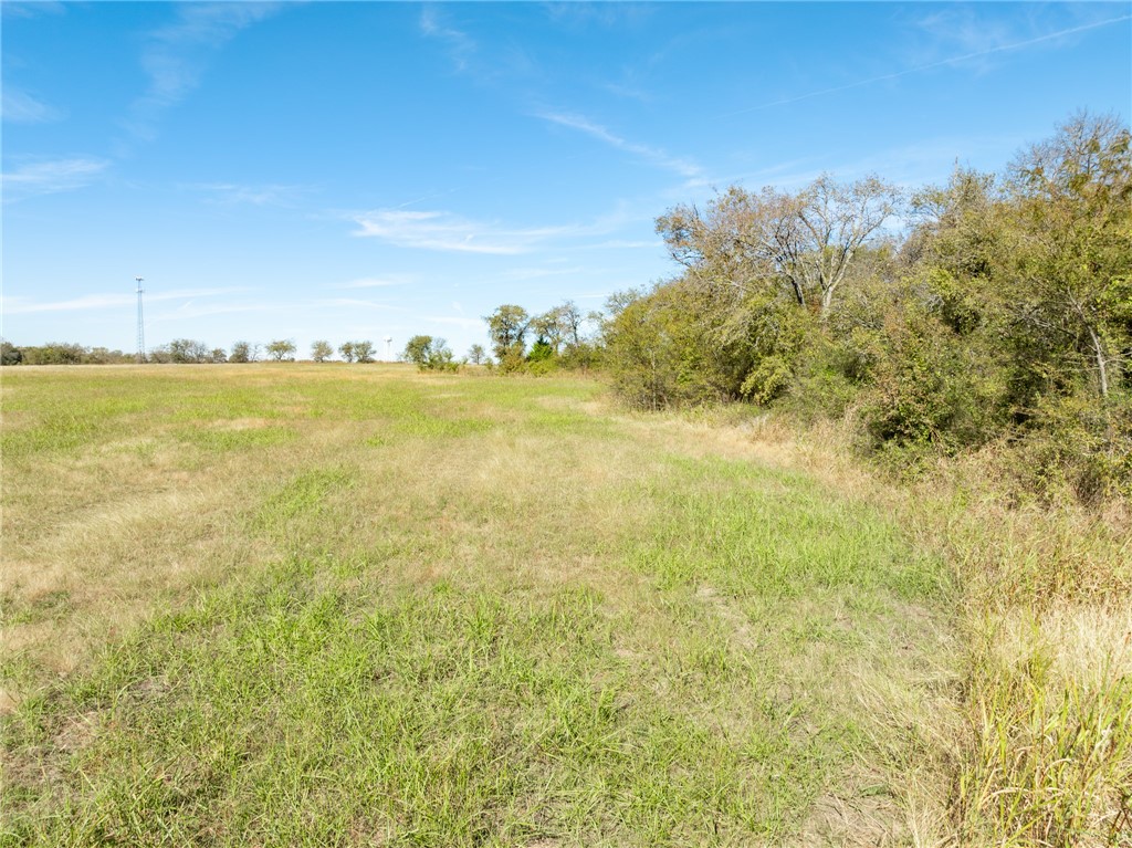 TBD S Main Street , Covington, TX, 76636 | 226681 | Realty Texas LLC