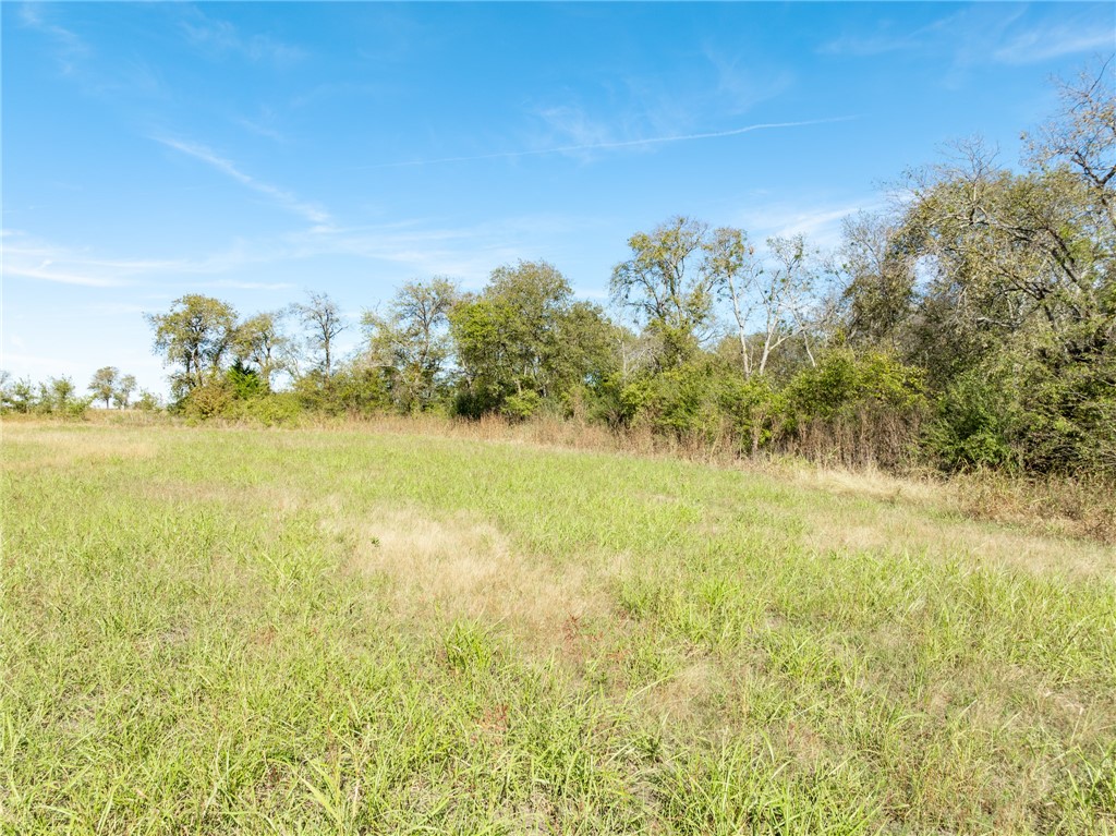 TBD S Main Street , Covington, TX, 76636 | 226681 | Realty Texas LLC