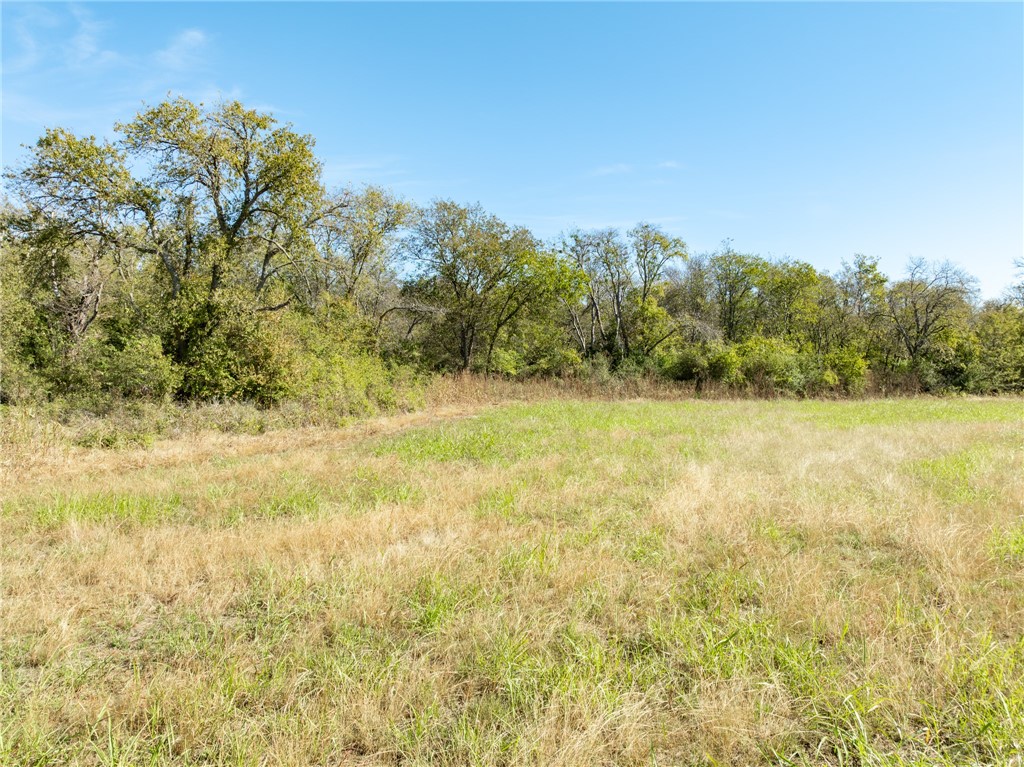 TBD S Main Street , Covington, TX, 76636 | 226681 | Realty Texas LLC
