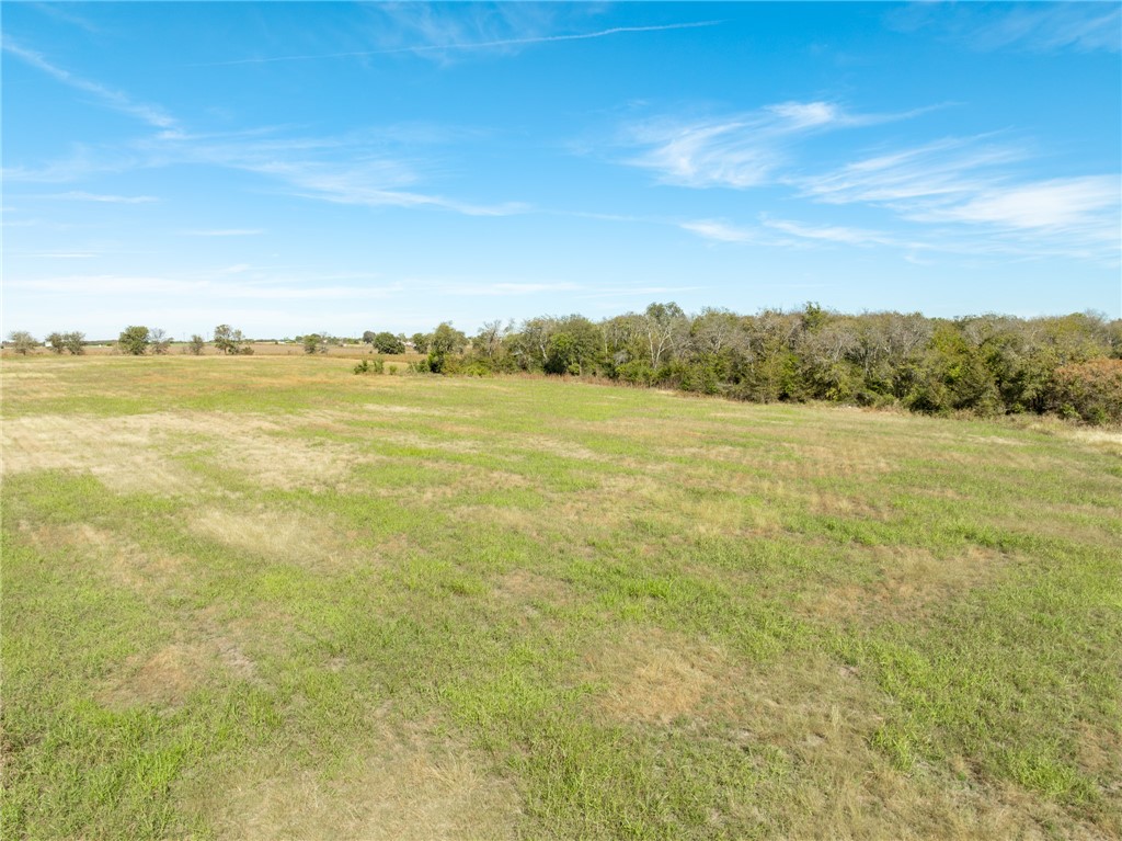 TBD S Main Street , Covington, TX, 76636 | 226681 | Realty Texas LLC