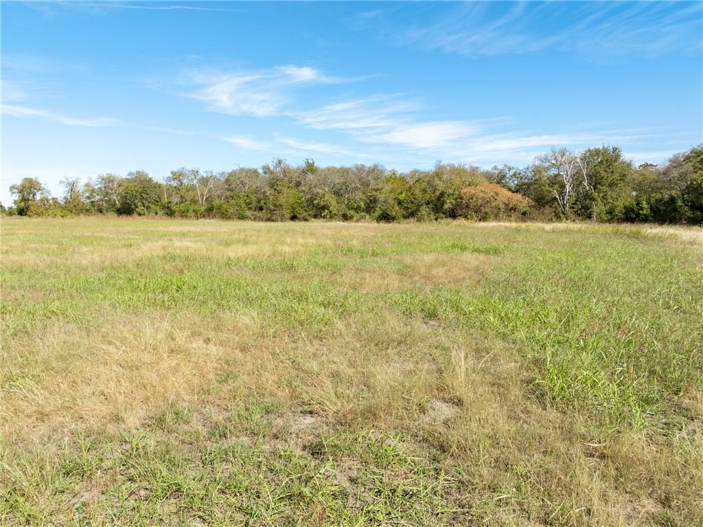 TBD S Main Street , Covington, TX, 76636 | 226681 | Realty Texas LLC