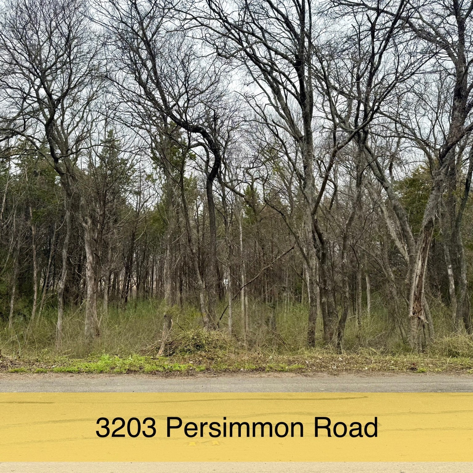 3203 Persimmon Road , Dallas, TX, 75241 | 20847776 | Realty Texas LLC