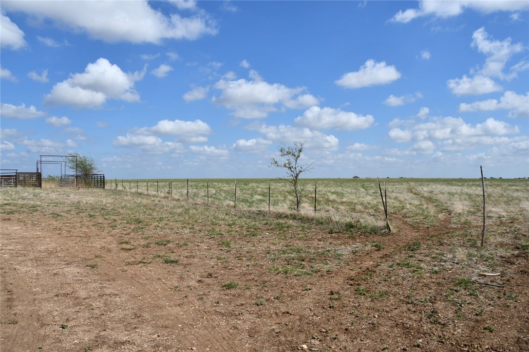 TBD CR 269 , Oglesby, TX, 76561 | 228355 | Realty Texas LLC