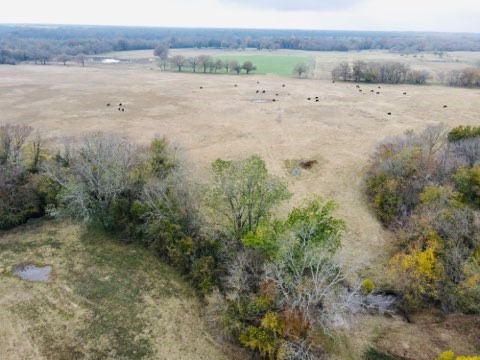 1751 County Road 3561 , Sulphur Bluff, TX, 75481 | 20850797 | Realty Texas LLC