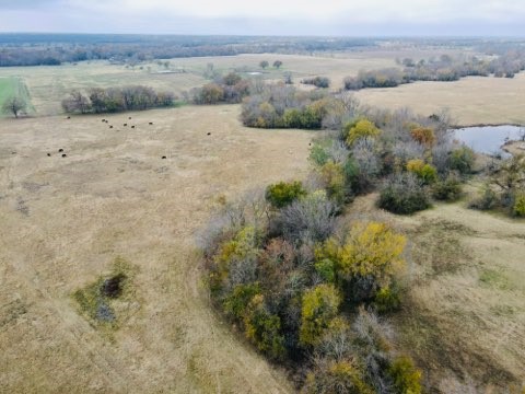 1751 County Road 3561 , Sulphur Bluff, TX, 75481 | 20850797 | Realty Texas LLC