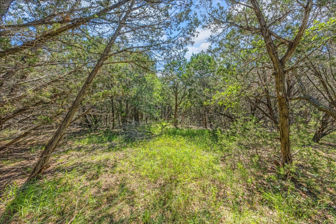 2453 S Rainbow Ranch Road S , Wimberley, TX, 78676 | 4085115 | Realty Texas LLC