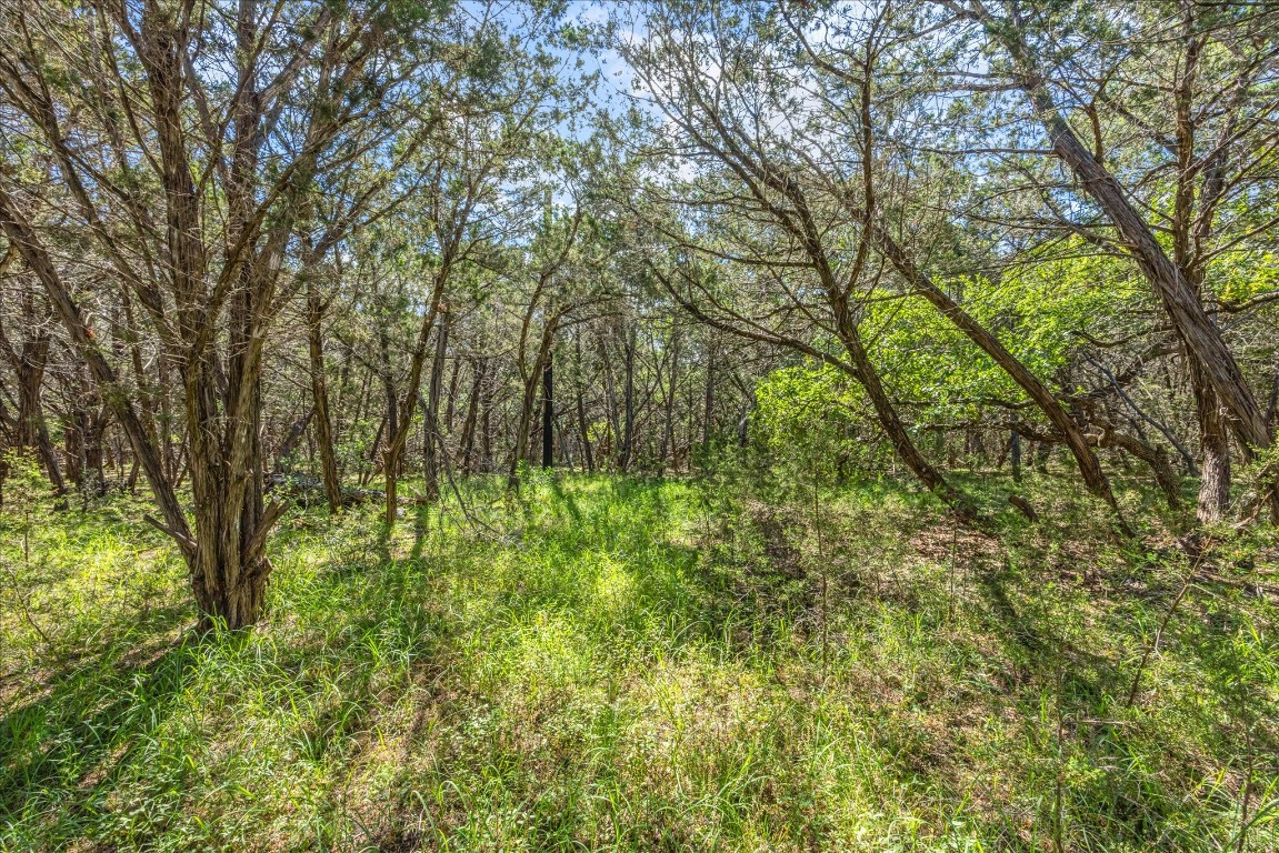 2453 S Rainbow Ranch Road S , Wimberley, TX, 78676 | 4085115 | Realty Texas LLC