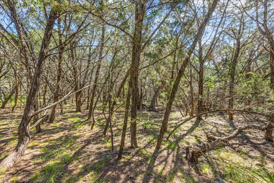 2453 S Rainbow Ranch Road S , Wimberley, TX, 78676 | 4085115 | Realty Texas LLC