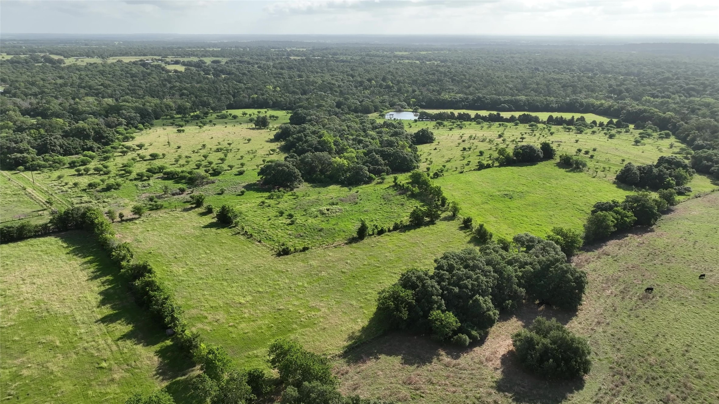 1649 County Road 209 , Weimar, TX, 78962 | 68606600 | Realty Texas LLC