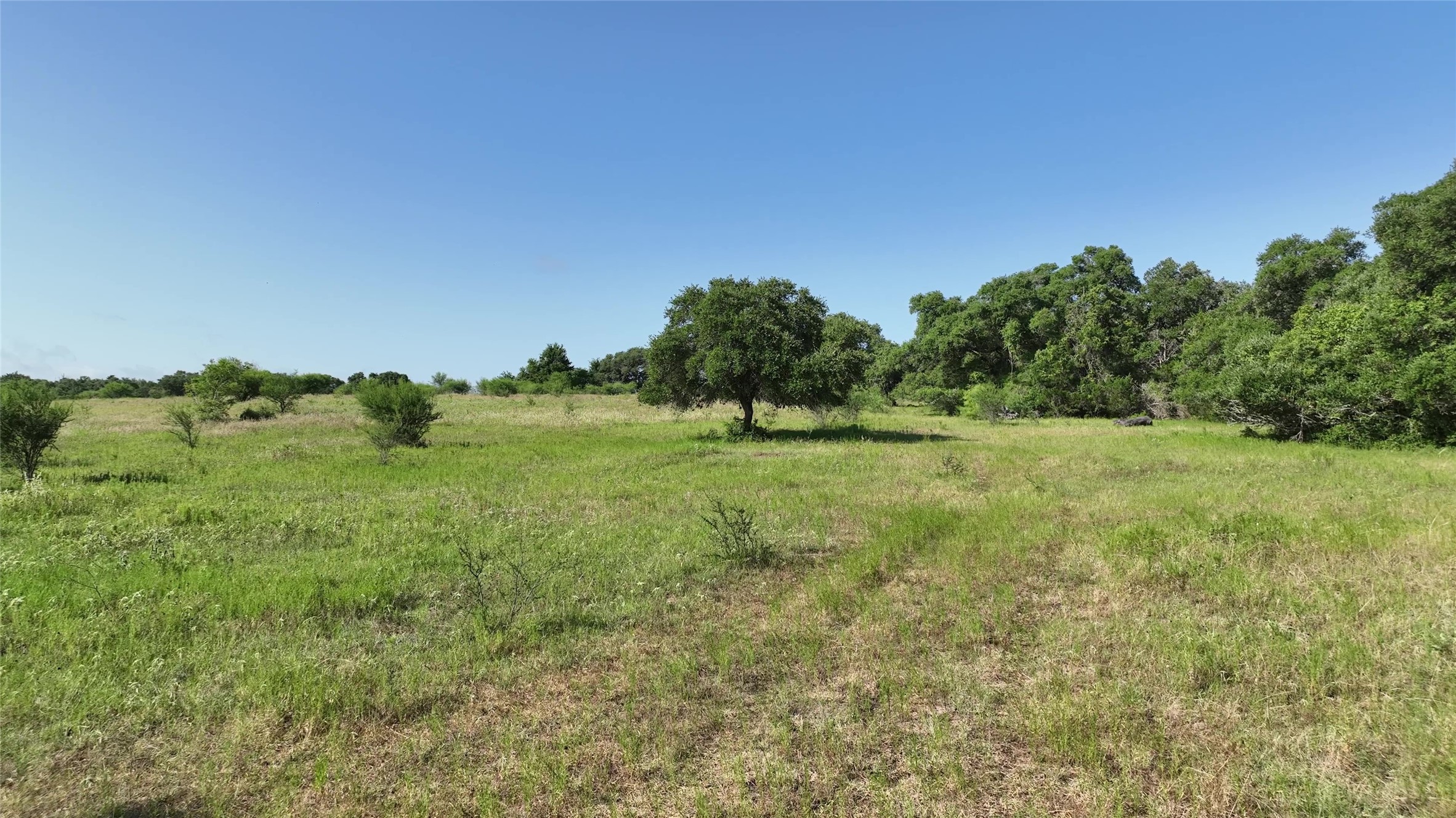 1649 County Road 209 , Weimar, TX, 78962 | 68606600 | Realty Texas LLC