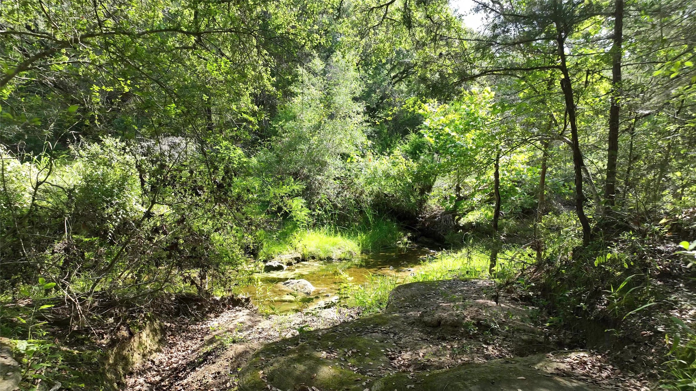 1649 County Road 209 , Weimar, TX, 78962 | 68606600 | Realty Texas LLC