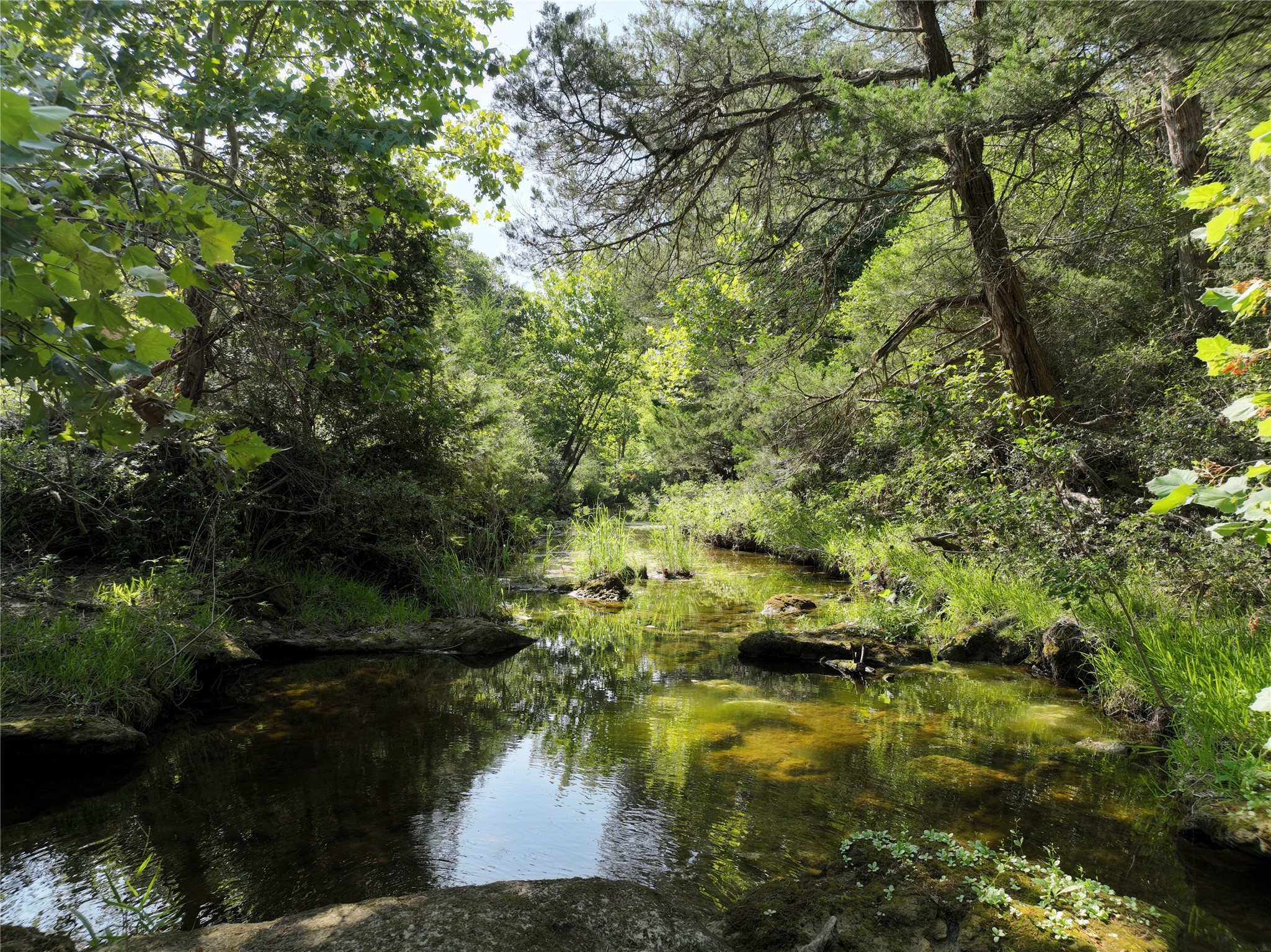 1649 County Road 209 , Weimar, TX, 78962 | 68606600 | Realty Texas LLC