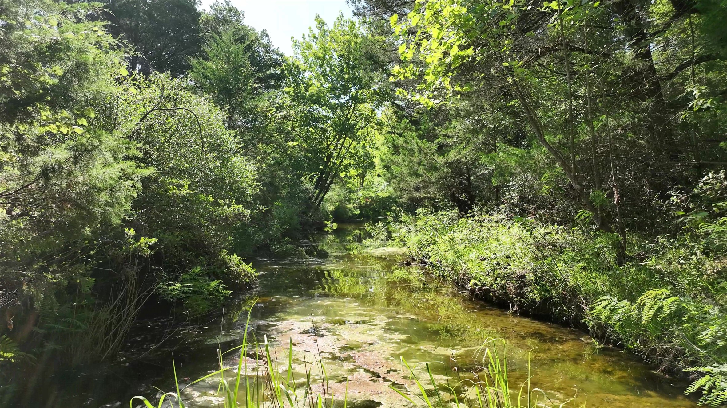 1649 County Road 209 , Weimar, TX, 78962 | 68606600 | Realty Texas LLC