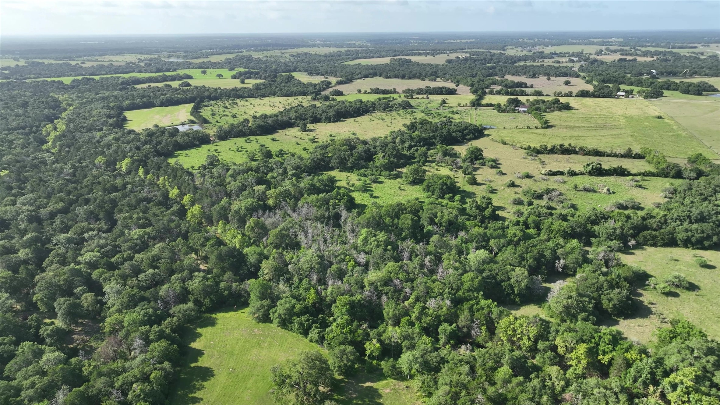 1649 County Road 209 , Weimar, TX, 78962 | 68606600 | Realty Texas LLC