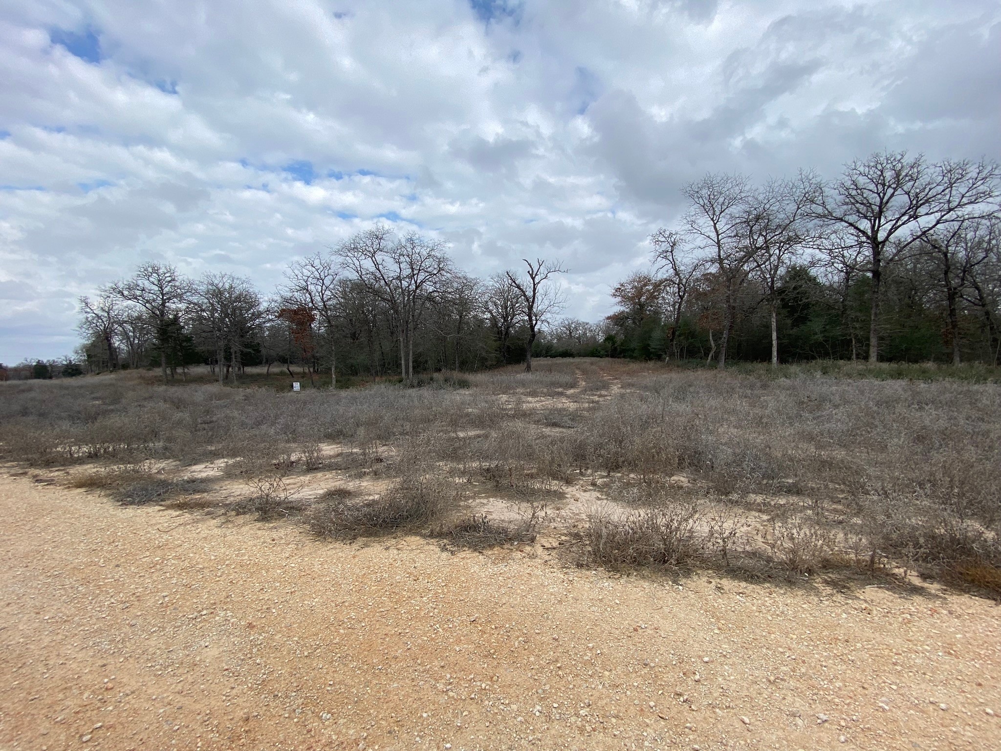 1215 Walleye Creek Trail , Lexington, TX, 78947 | 14859542 | Realty Texas LLC