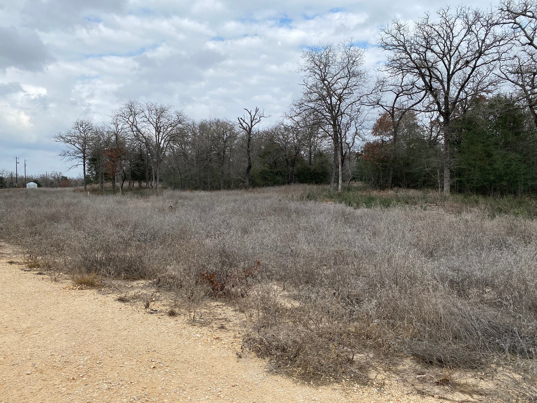 1215 Walleye Creek Trail , Lexington, TX, 78947 | 14859542 | Realty Texas LLC