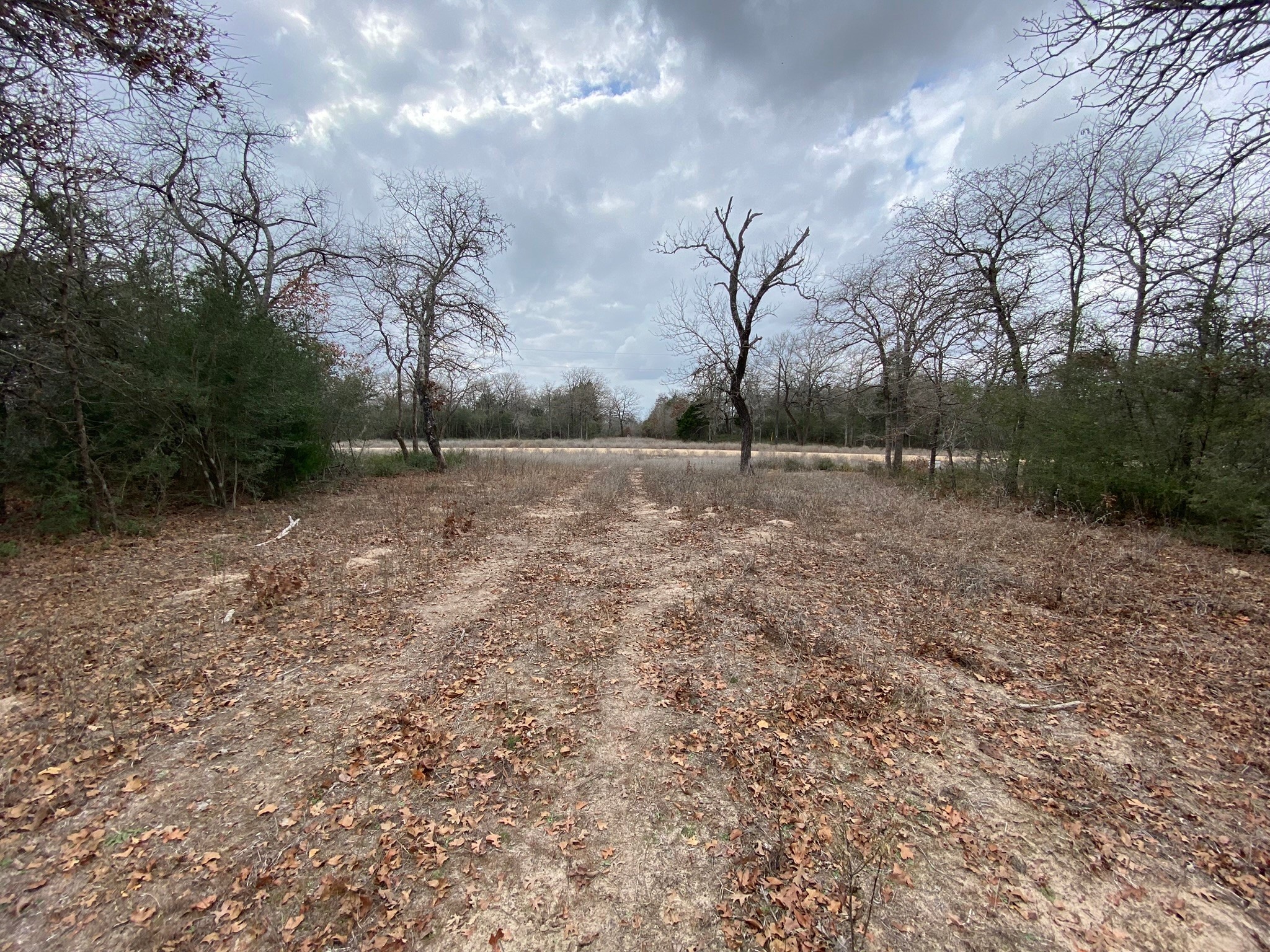 1215 Walleye Creek Trail , Lexington, TX, 78947 | 14859542 | Realty Texas LLC