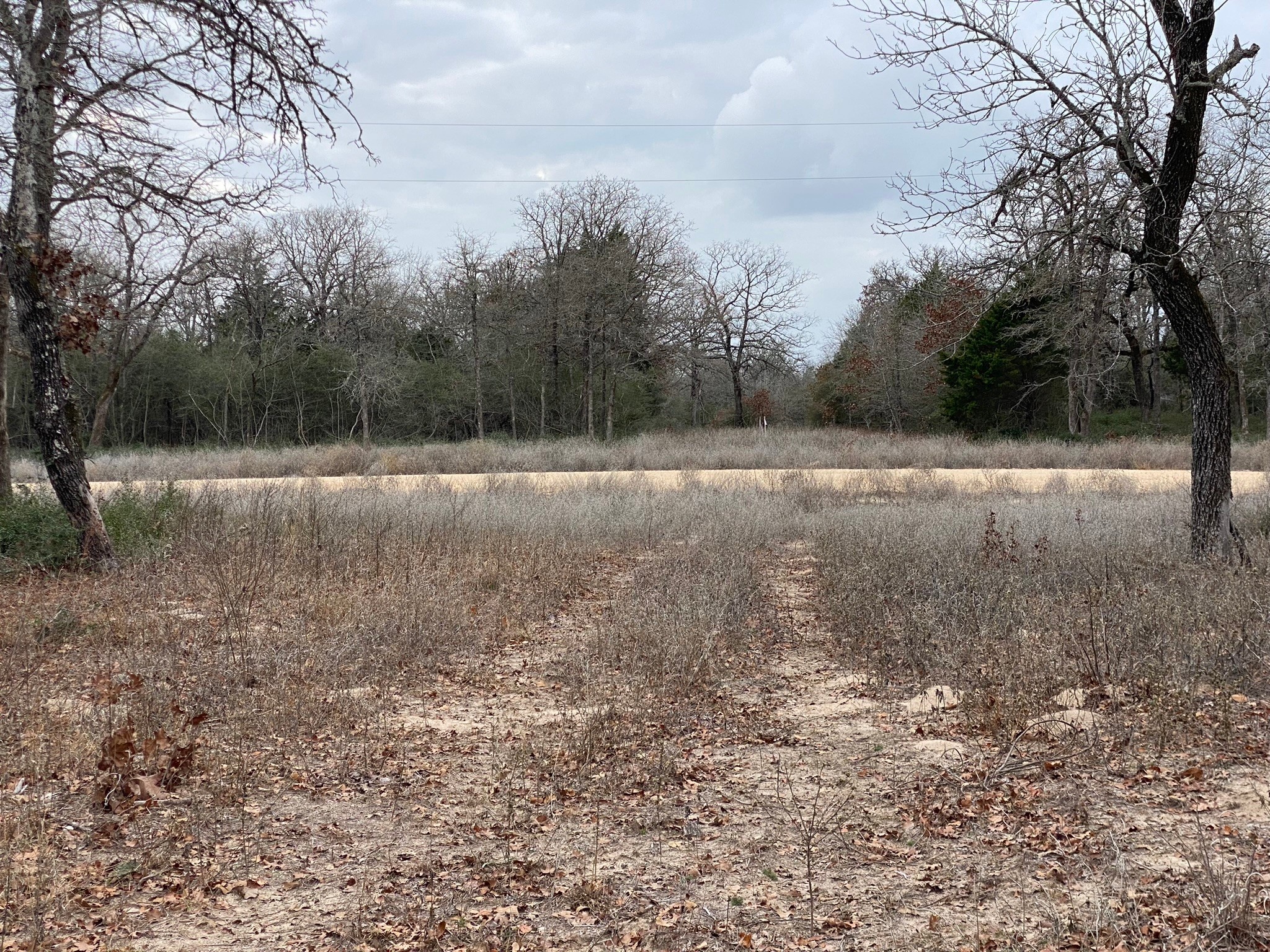 1215 Walleye Creek Trail , Lexington, TX, 78947 | 14859542 | Realty Texas LLC