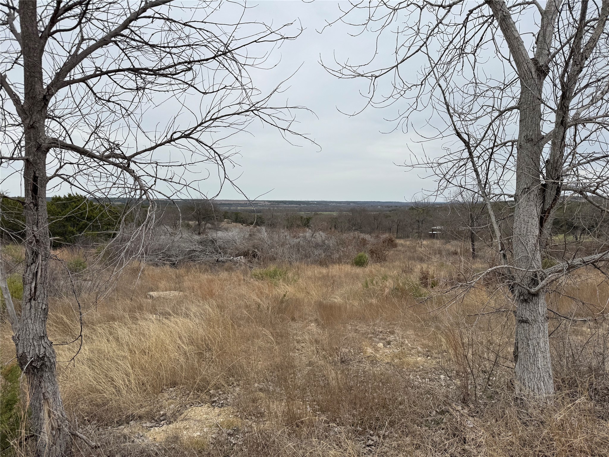 365 Magic Valley , Bluff Dale, TX, 76433 | 20865168 | Realty Texas LLC