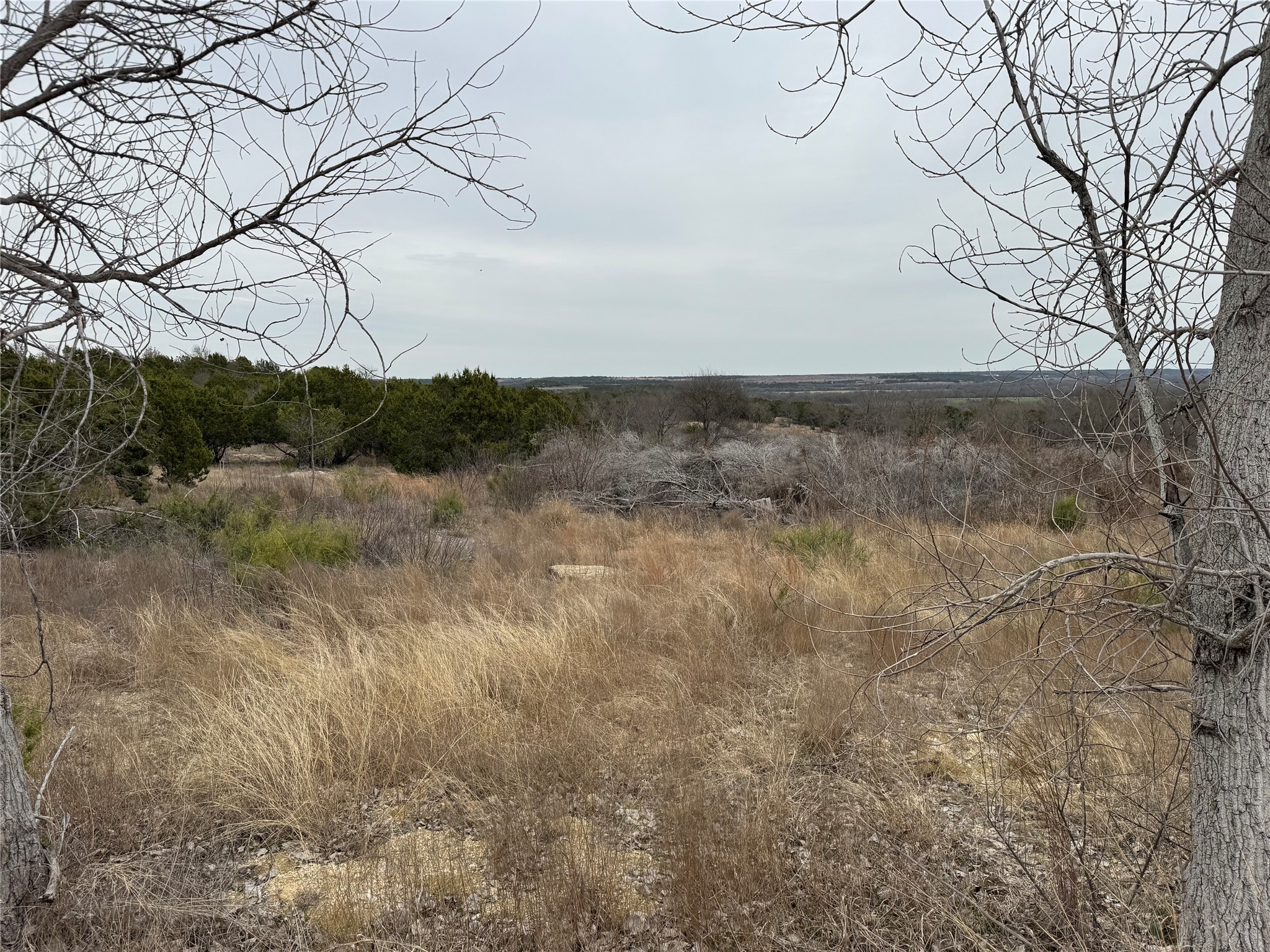 365 Magic Valley , Bluff Dale, TX, 76433 | 20865168 | Realty Texas LLC