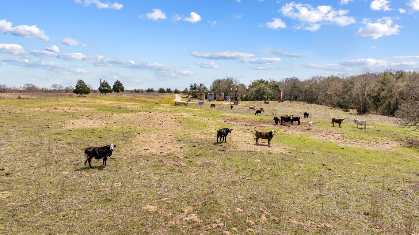 TBD County Road 430 , Dime Box, TX, 77853 | 7880016 | Realty Texas LLC