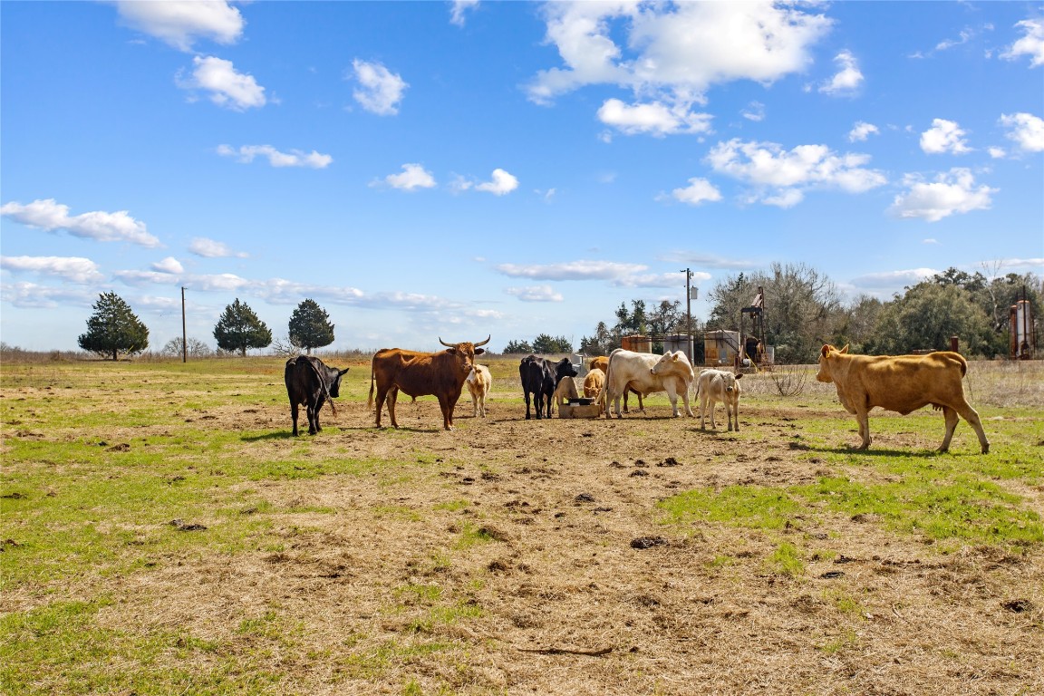 TBD County Road 430 , Dime Box, TX, 77853 | 7880016 | Realty Texas LLC