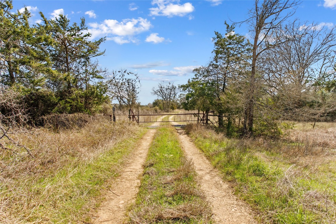 TBD County Road 430 , Dime Box, TX, 77853 | 7880016 | Realty Texas LLC