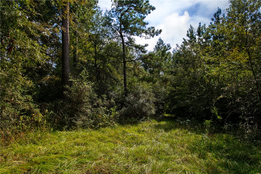 10.25 Acres CR 209 , Plantersville, TX, 77363 | 25002974 | Realty Texas LLC