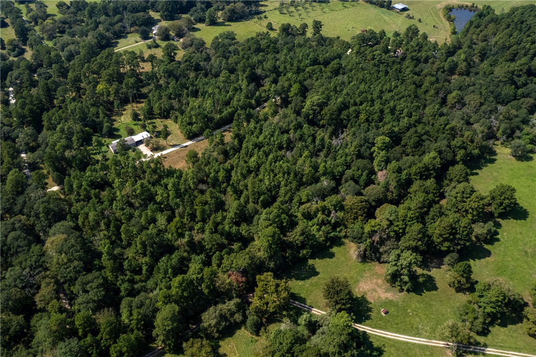 10.25 Acres CR 209 , Plantersville, TX, 77363 | 25002974 | Realty Texas LLC